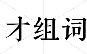 才组词